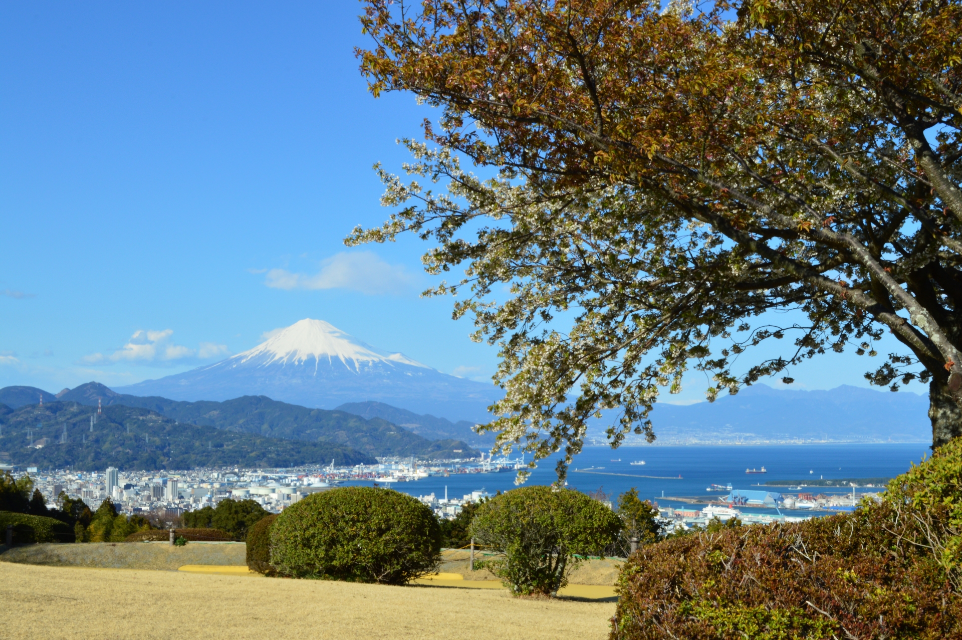 富士山